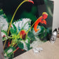 Impatiens Kilimanjari w/ Spider inside: Direct Print on Acrylic 18 x 24 Sign (Gloss)